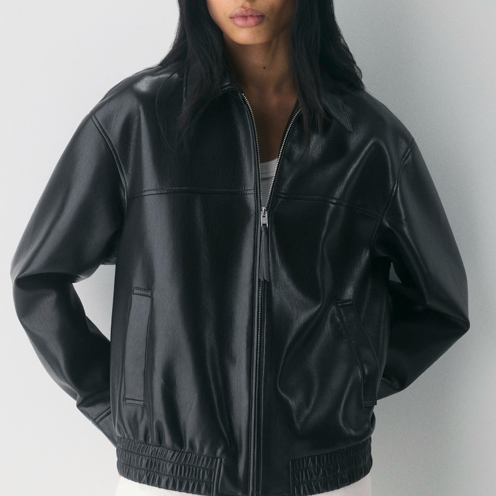 Aritzia Falcon Jacket